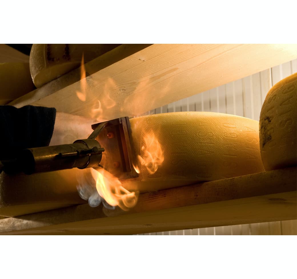 Asiago Pressato Fresco DOP