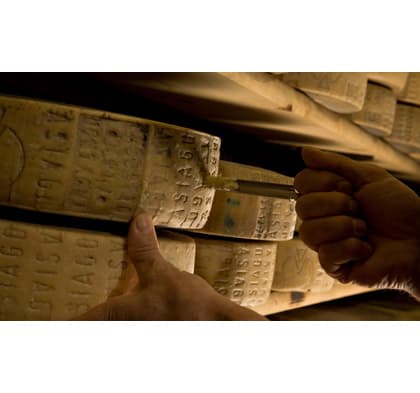Asiago Mezzano DOP