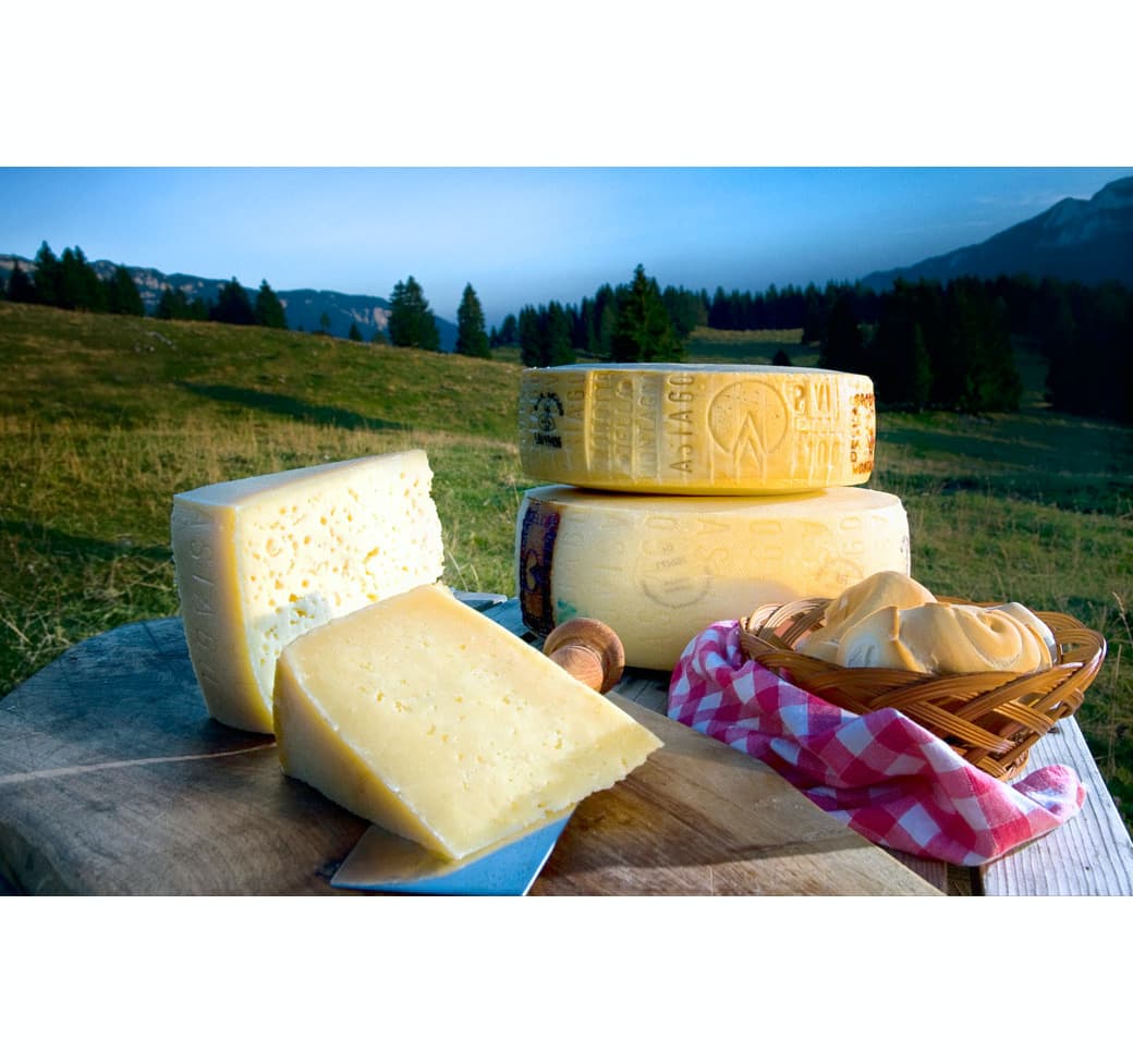 Asiago Pressato Fresco DOP